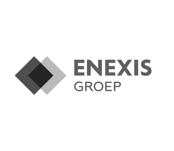 Referentie-Incompany-Enexis